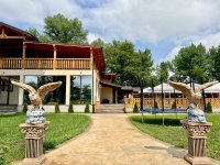 restaurant-and-food